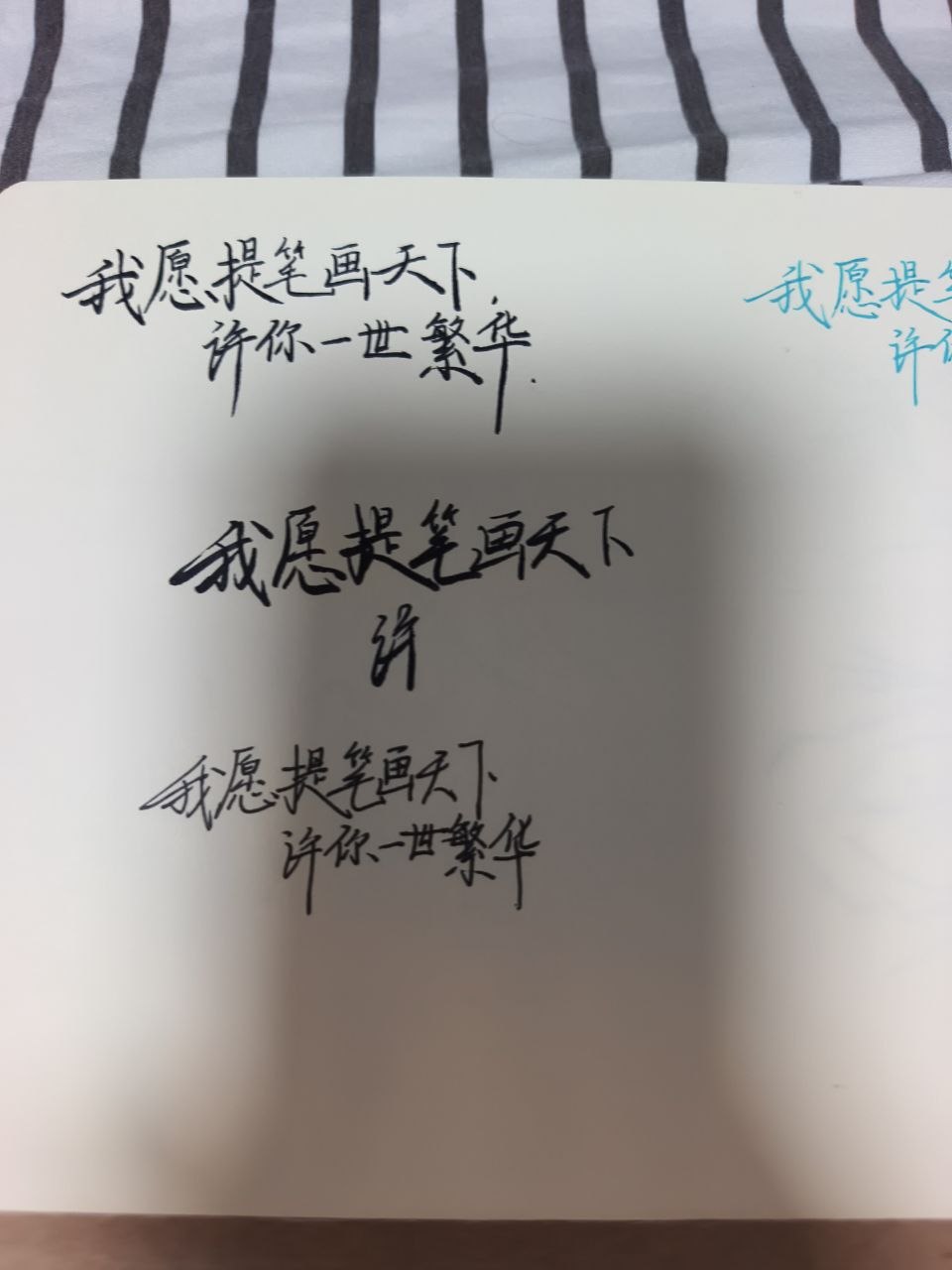 我愿提笔画天下，许你一世繁华的手写练习